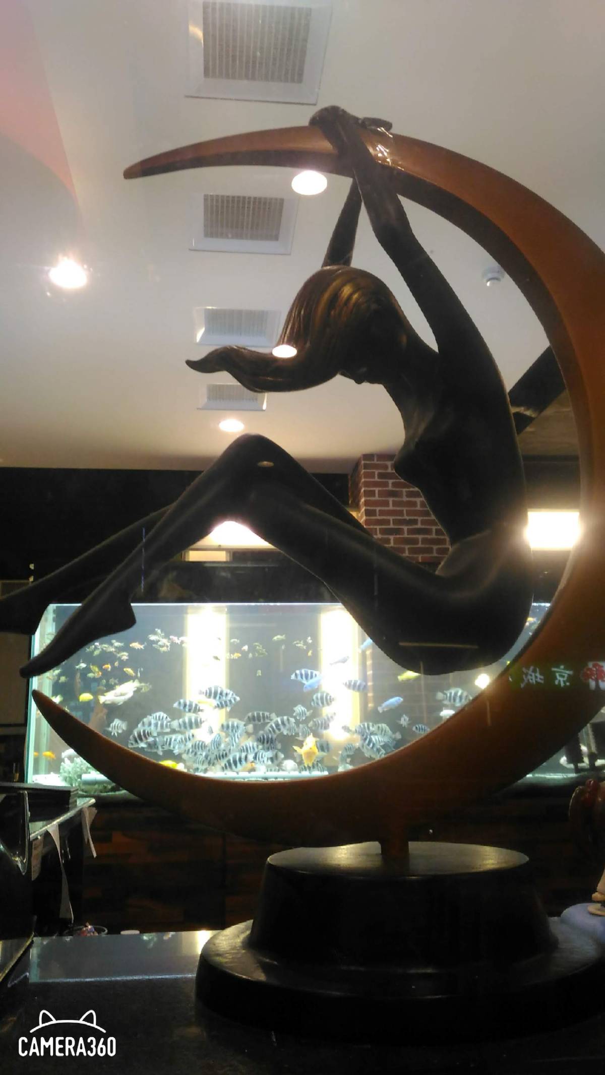 c360_2018-10-19-21-13-03-405