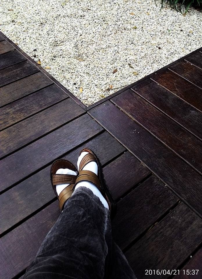 13062239_1323771487637022_5516989949938632070_n